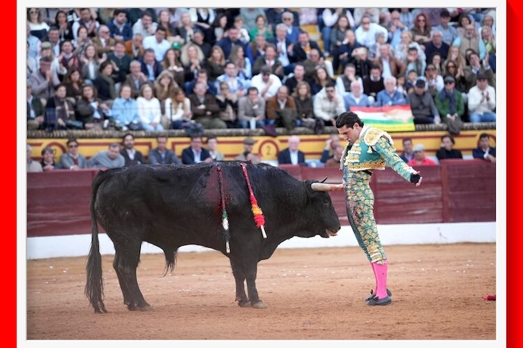 En Olivenza… ha cumplido la terna con esos mansos ejemplares