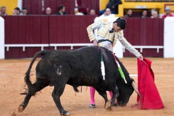 En Olivenza… David Gutiérrez sumó dos orejas en su debut
