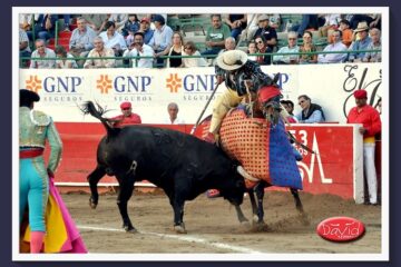 El análisis de Sergio Mañón… La suerte de varas: El conflicto entre lo que es y lo que debería ser