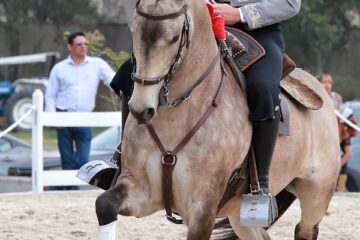 El reportaje del Maestro Sainos… en Val’Quirico, Gamero y Aloi en hombros