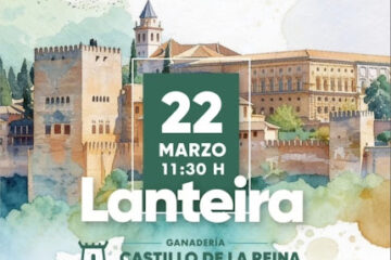 GRAN FINAL V CERTAMEN DE TENTADEROS DE GRANADA