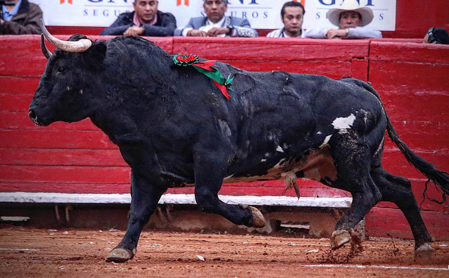 México lindo: El aniversario de La México