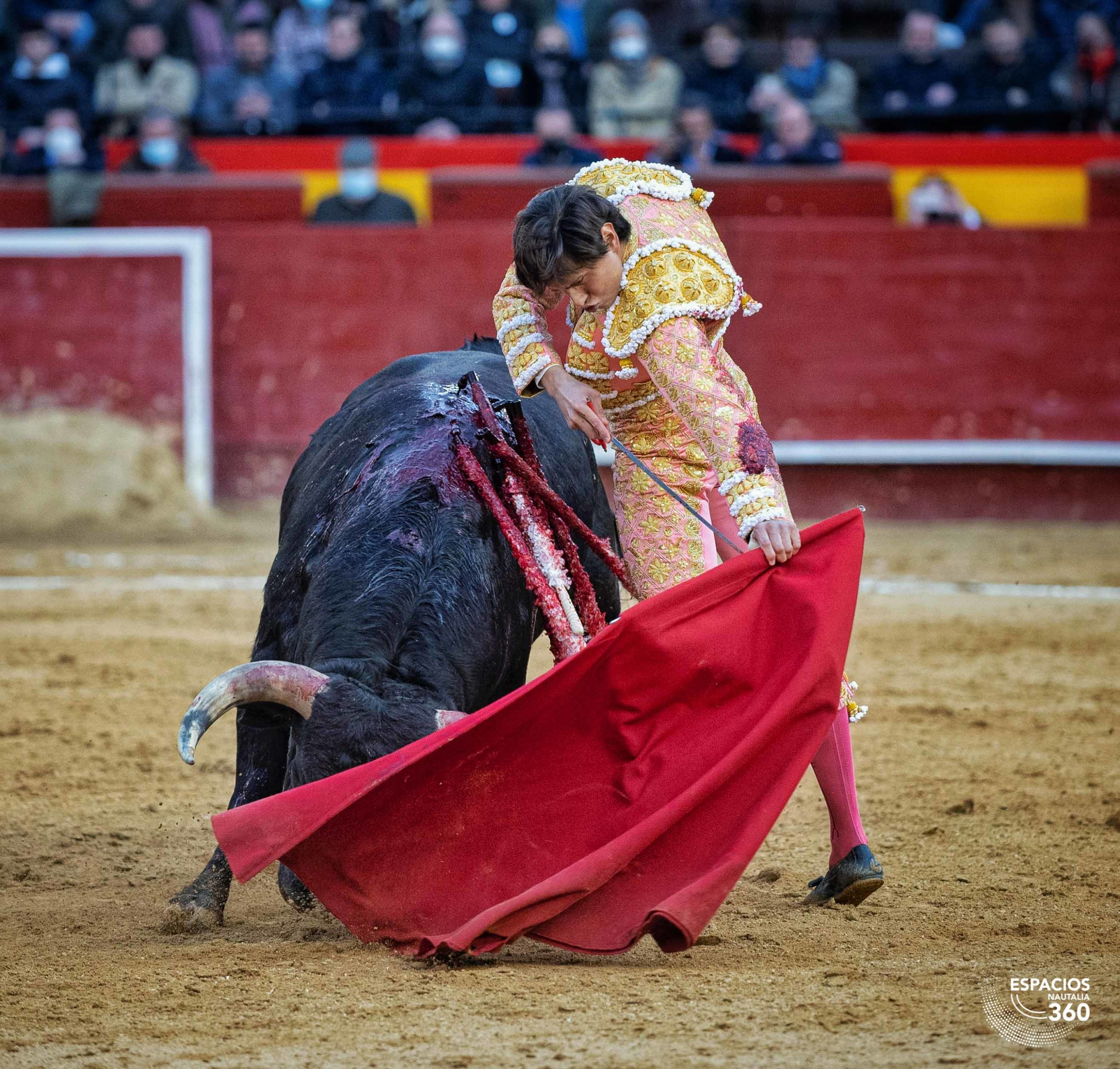 Roca Rey, tarde de figura en Fallas
