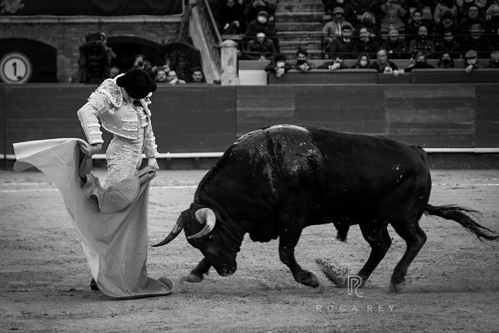 Roca Rey, premio al triunfador y mejor faena de la Feria de Fallas