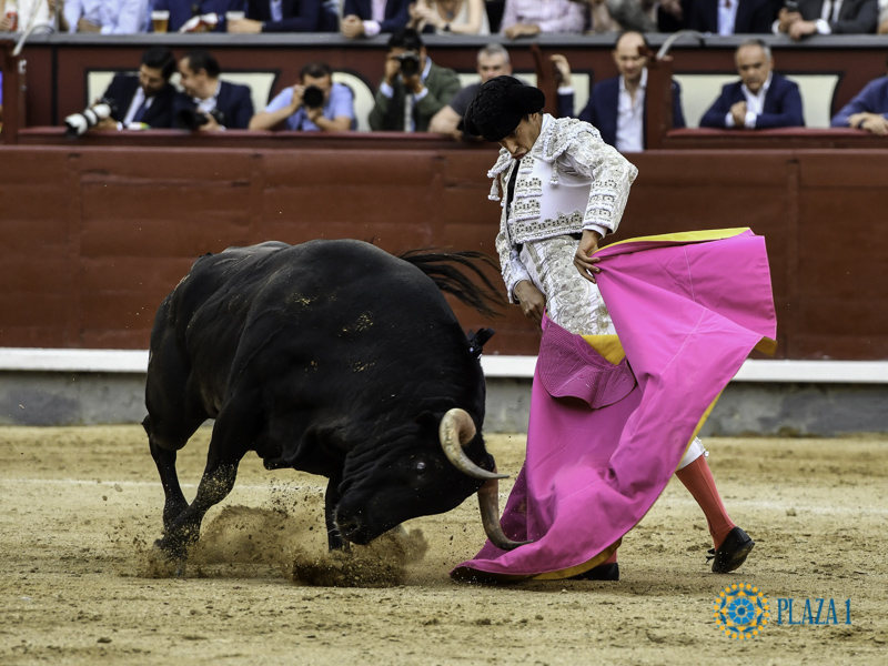MADRID:vuelta al ruedo para Joselito Adame y Ángel Téllez