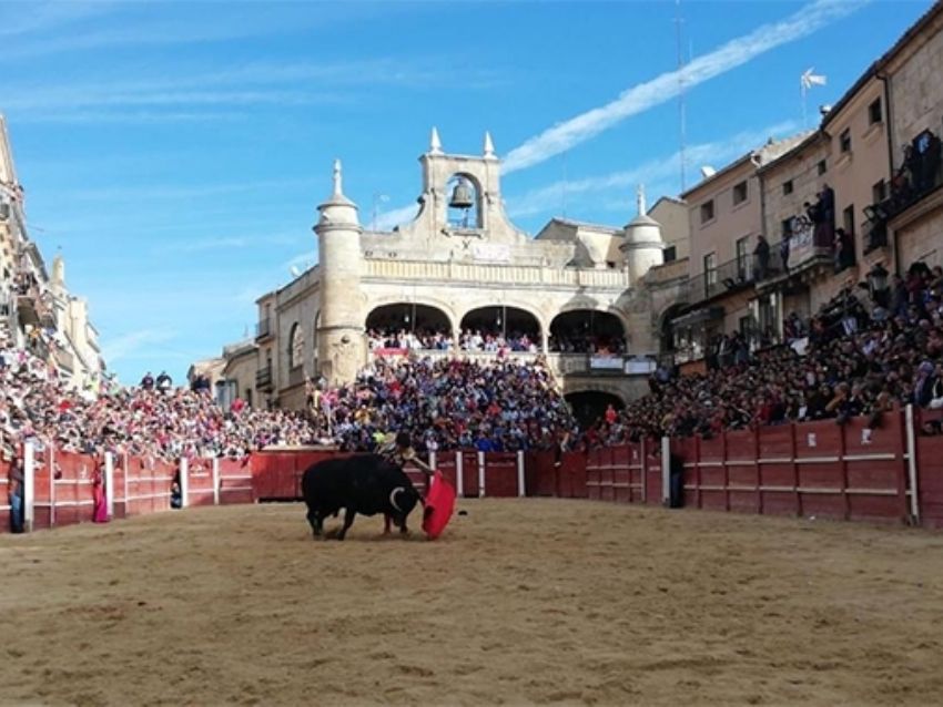 El Bolsín Taurino de Ciudad Rodrigo, premio Tauromaquia de Castilla y León 2021