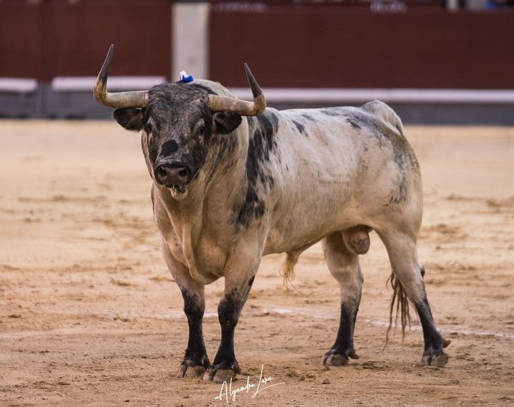Decálogo del torismo (corregido y aumentado)