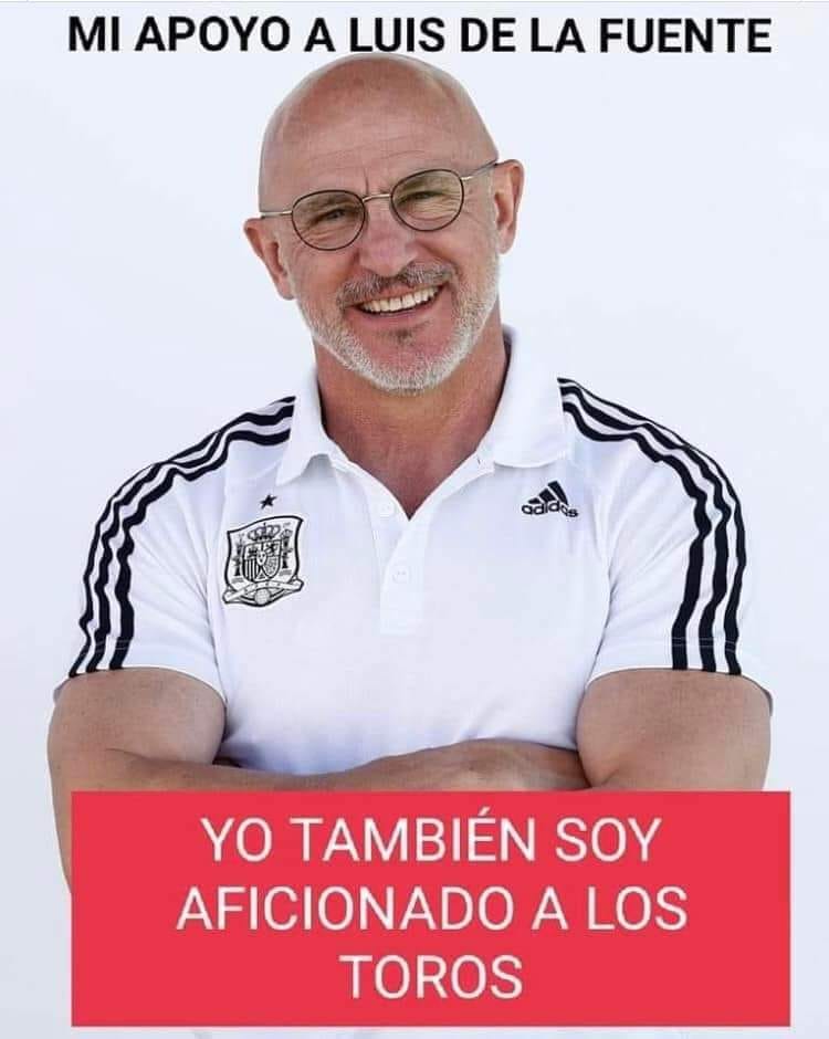 Mi apoyo a Luis de la Fuente:YO TAMBIÉN SOY AFICIONADO A LOS TOROS