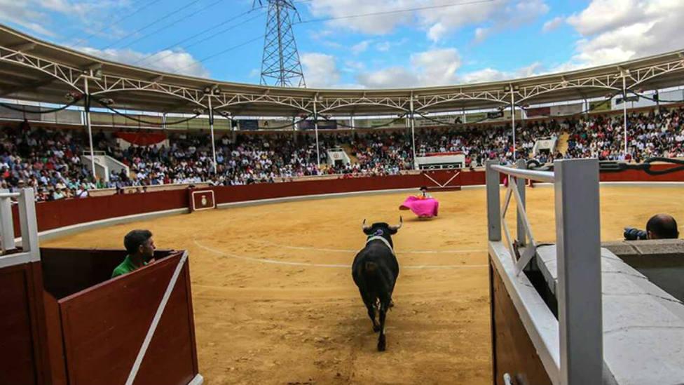 Villaseca redobla su apuesta en las ganaderías para su Alfarero de Oro