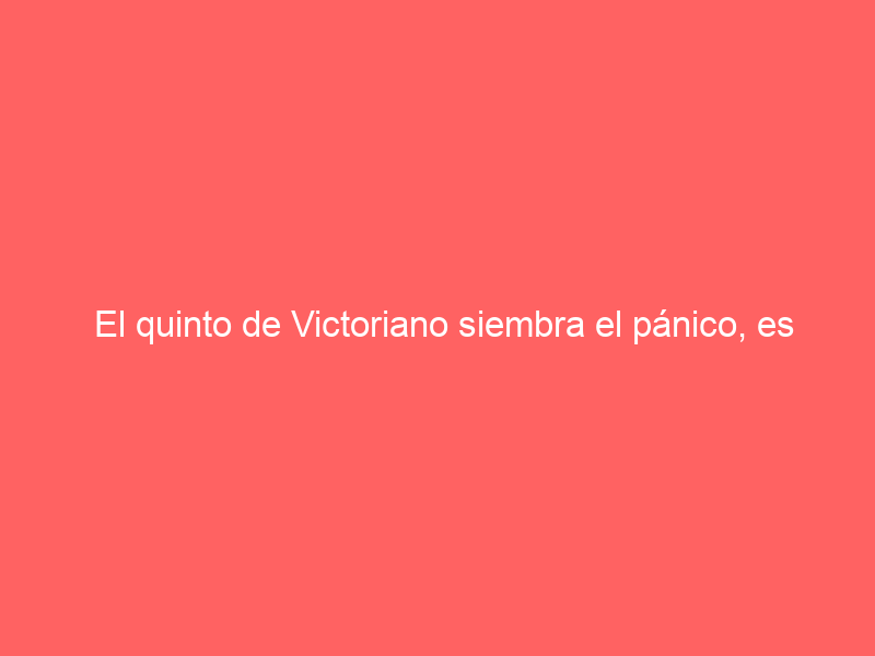El quinto de Victoriano siembra el pánico, es condenado a banderillas negras y coge por el pecho a Ureña