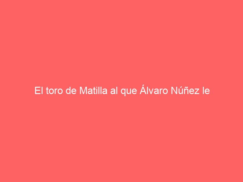 El toro de Matilla al que Álvaro Núñez le cortó las turmas en Sevilla para su nueva ganadería