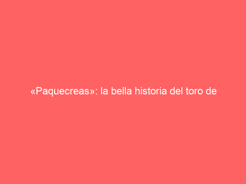 «Paquecreas»: la bella historia del toro de Victorino con el que Borja Jiménez empezó a tocar la gloria