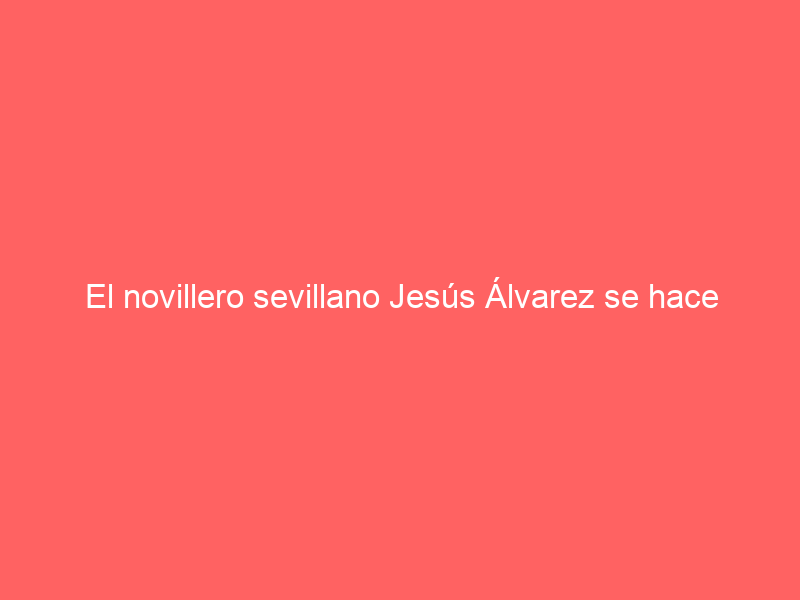 El novillero sevillano Jesús Álvarez se hace banderillero