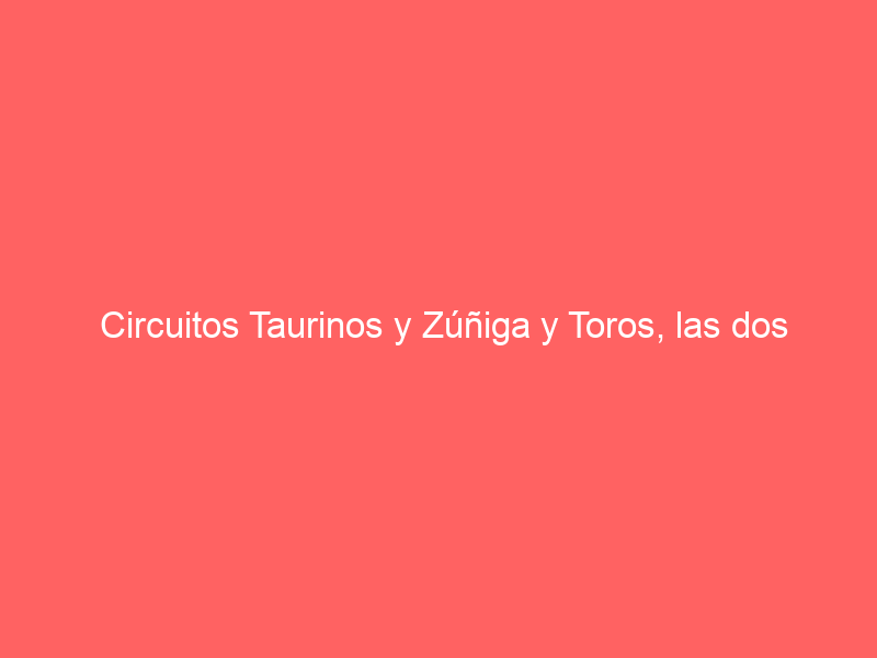 Circuitos Taurinos y Zúñiga y Toros, las dos empresas que pugnarán por El Bibio