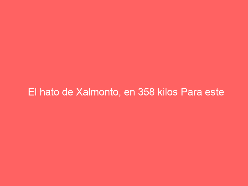 El hato de Xalmonto, en 358 kilos Para este domingo en la “San Marcos