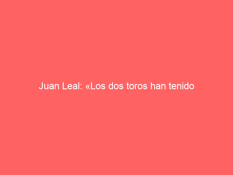 Juan Leal: «Los dos toros han tenido transmisión, pero luego se han venido abajo»