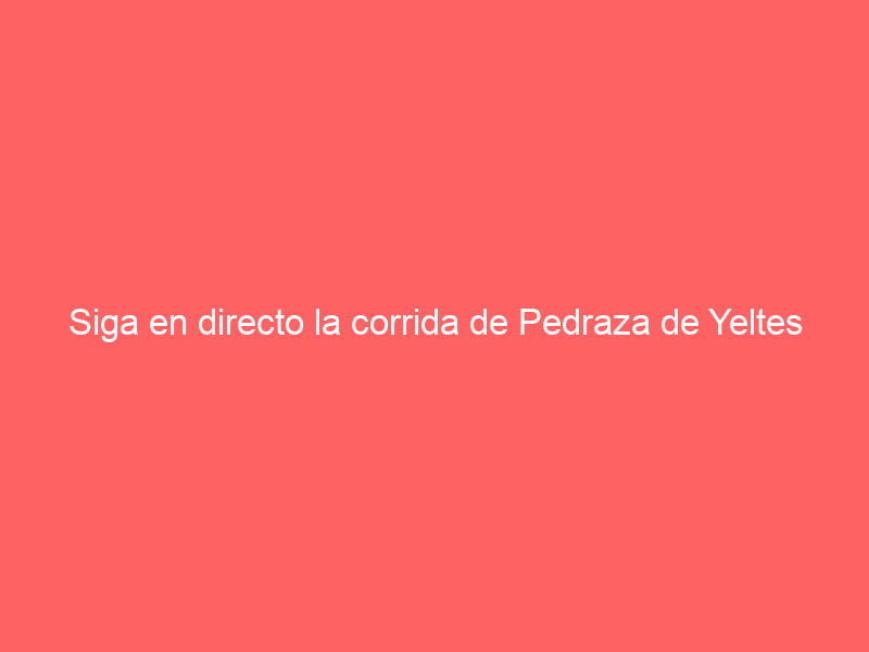 Siga en directo la corrida de Pedraza de Yeltes