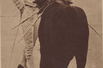 Manolo Vázquez en la rectitud